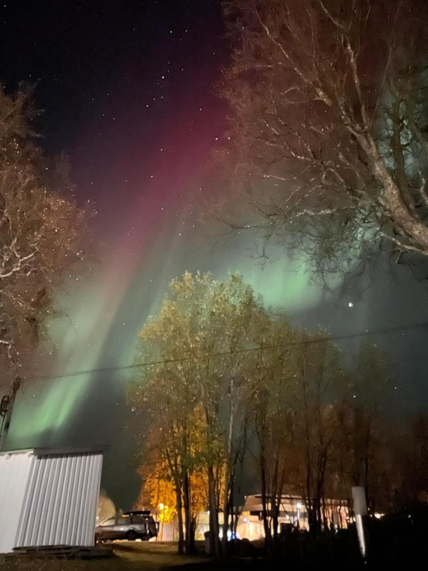 Sentral Og Romslig Leilighet Naert Senja Finnsnes Exteriér fotografie